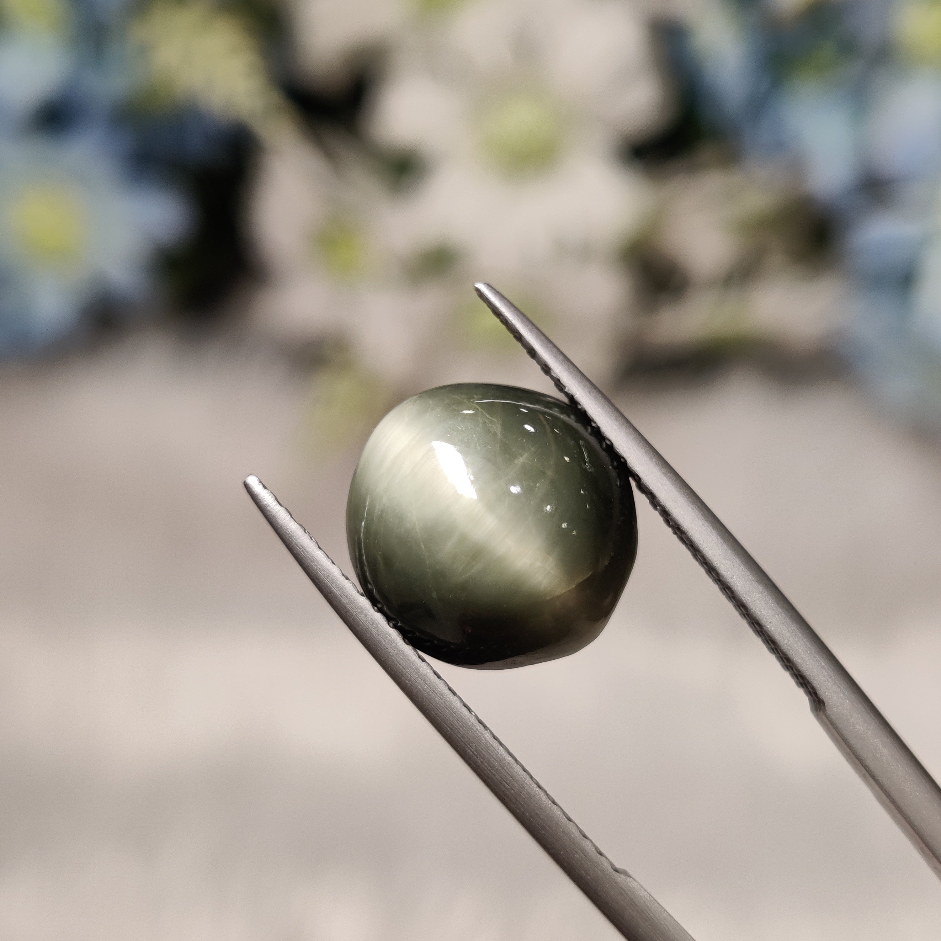 Cats Eye | CE 57 | 6.28 Carat