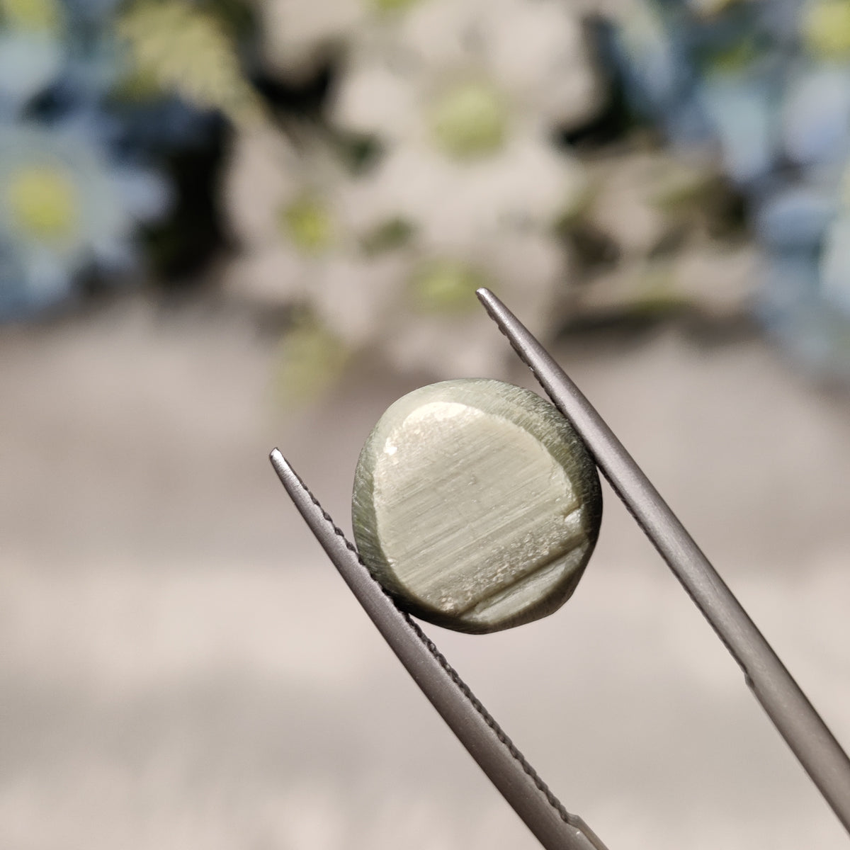 Natural Cats Eye (Lehsunia) | CE 57 | 6.28 Carat | Certified