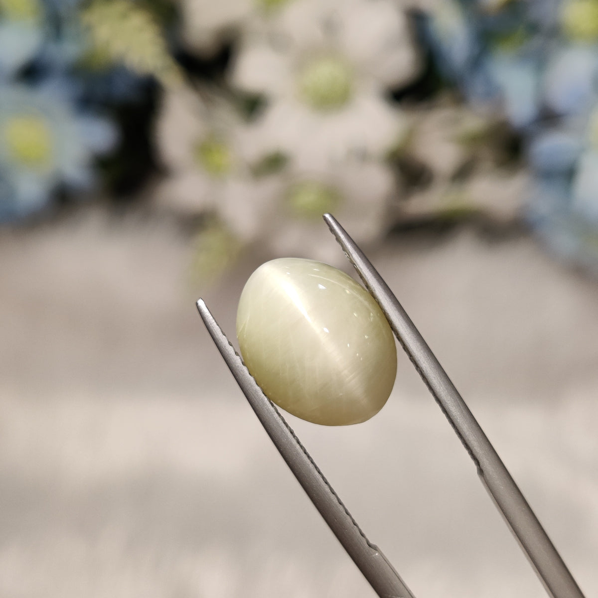 Natural Cats Eye (Lehsunia) | CE 77 | 6.85 Carat | Certified