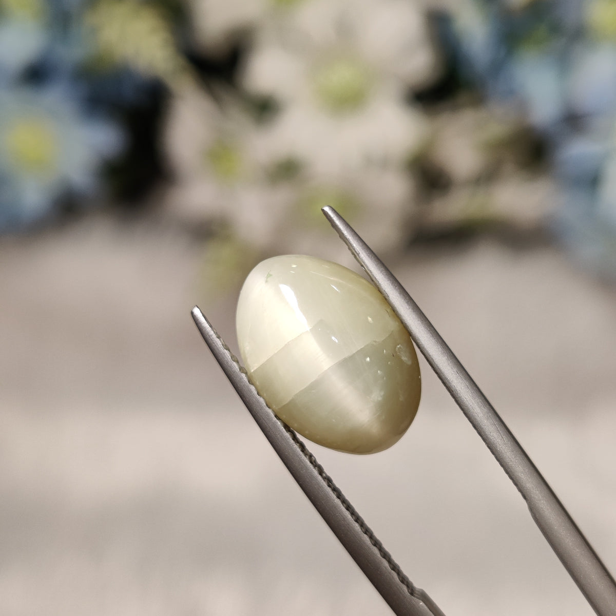Natural Cats Eye (Lehsunia) | CE 69 | 6.29 Carat | Certified