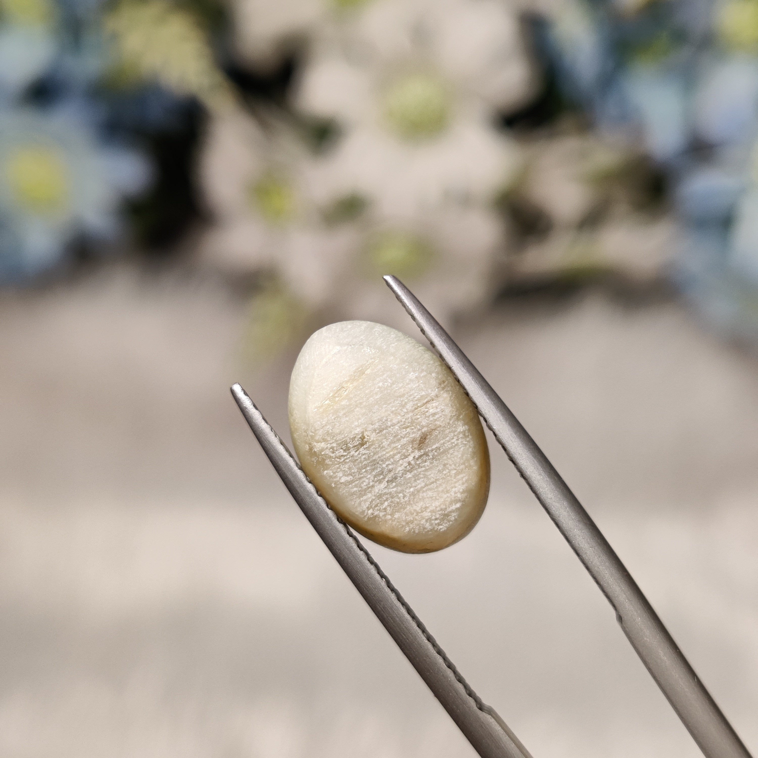 Cats Eye | CE 69 | 6.29 Carat