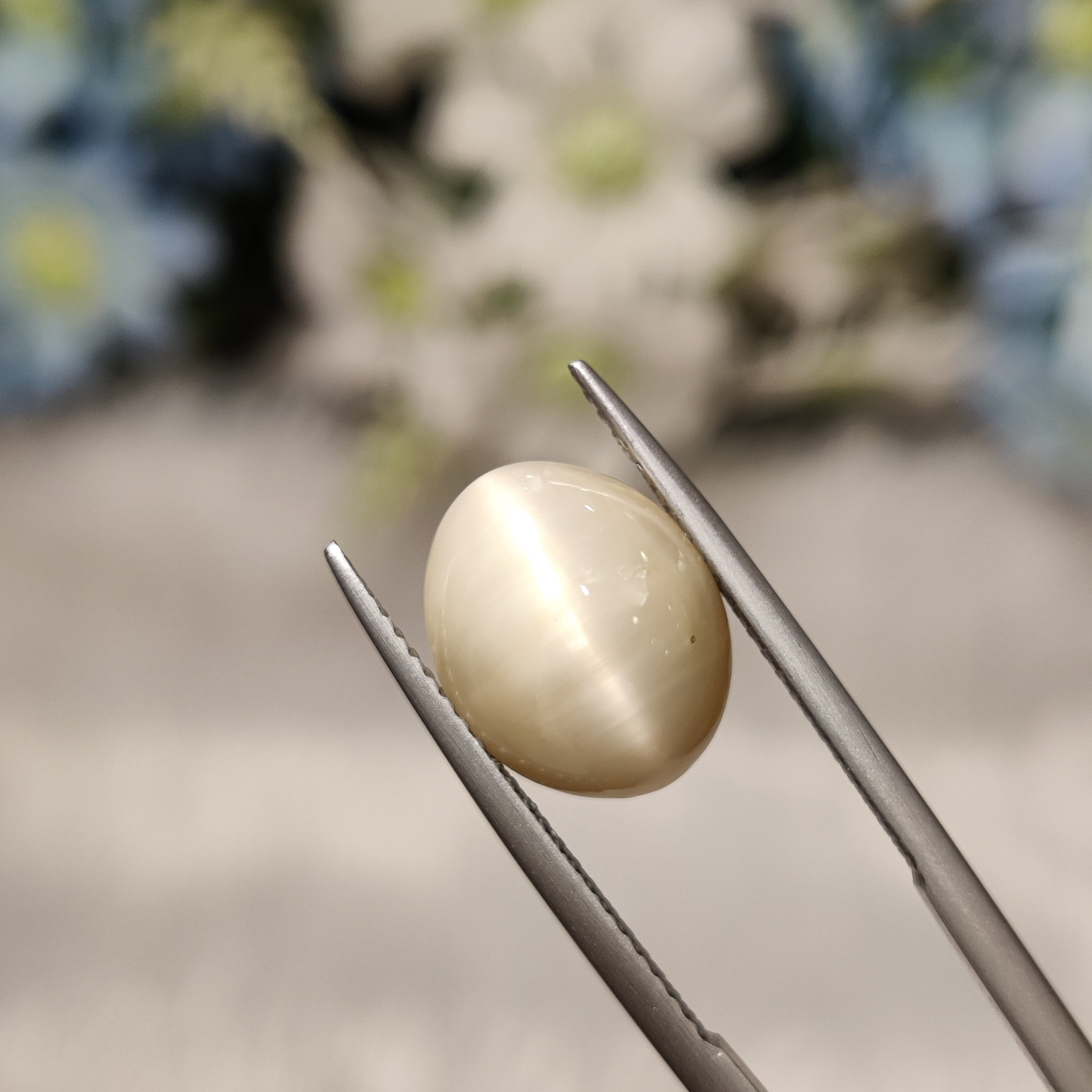 Cats Eye | CE 84 | 6.01 Carat