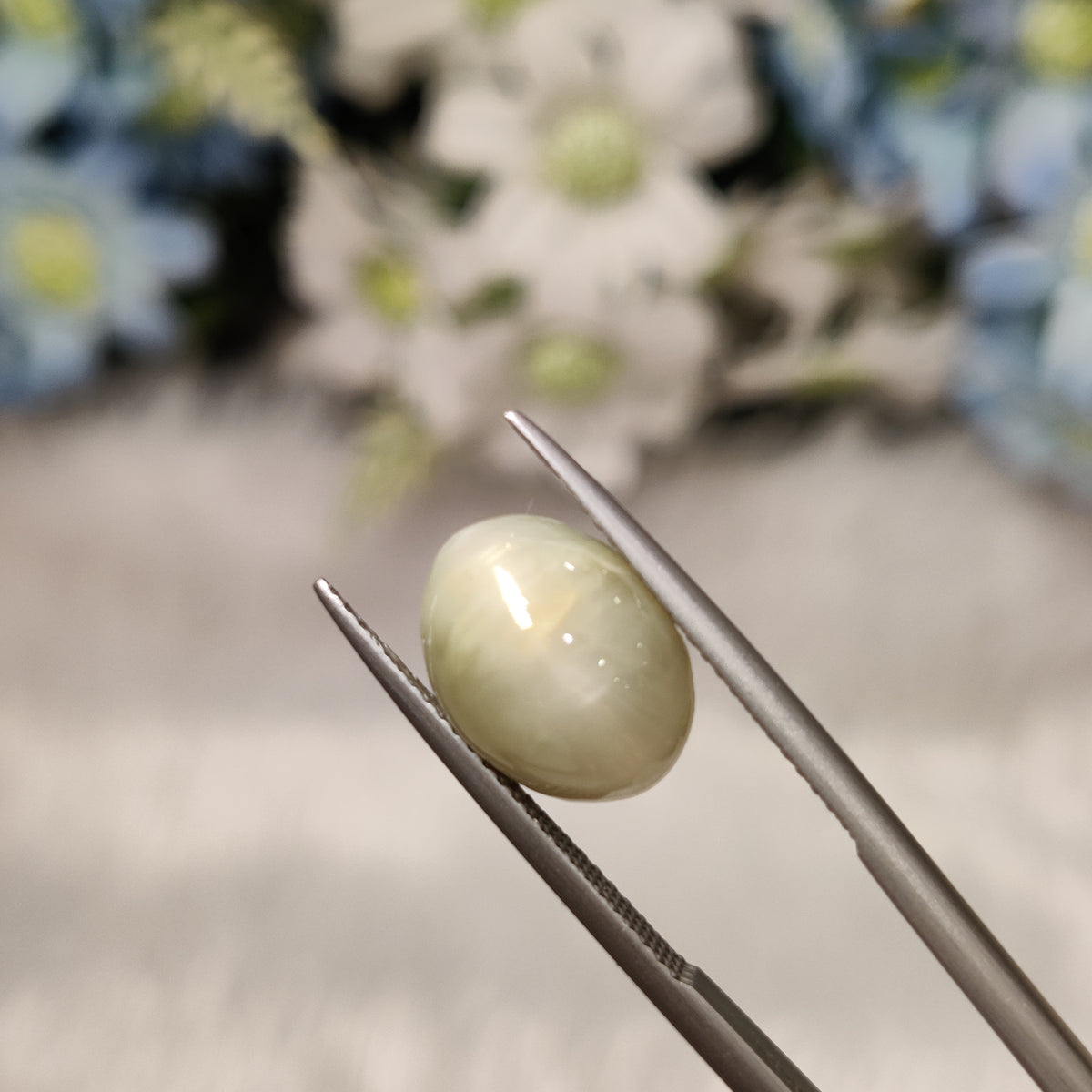 Natural Cats Eye (Lehsunia) | CE 5 | 6.75 Carat | Certified