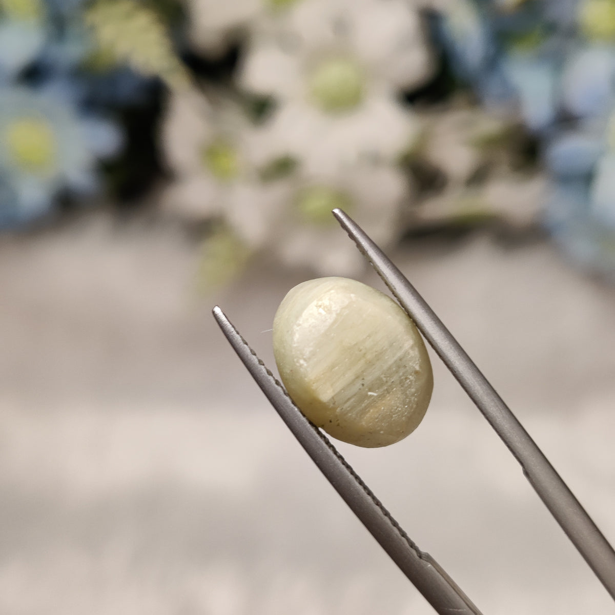 Natural Cats Eye (Lehsunia) | CE 5 | 6.75 Carat | Certified
