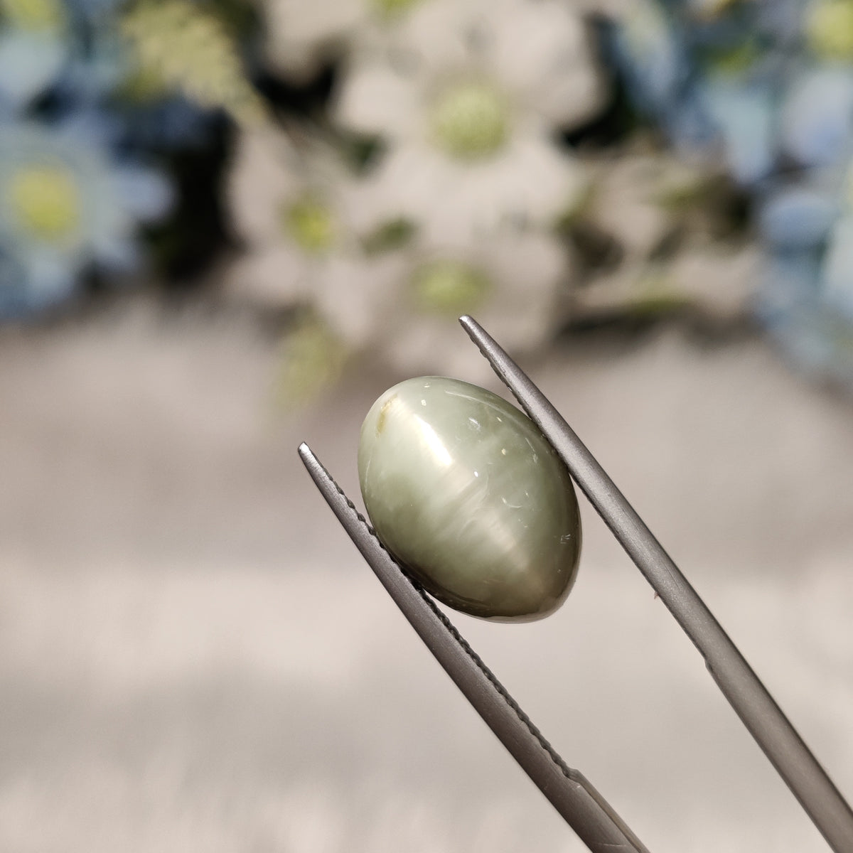 Natural Cats Eye (Lehsunia) | CE 41 | 6.97 Carat | Certified