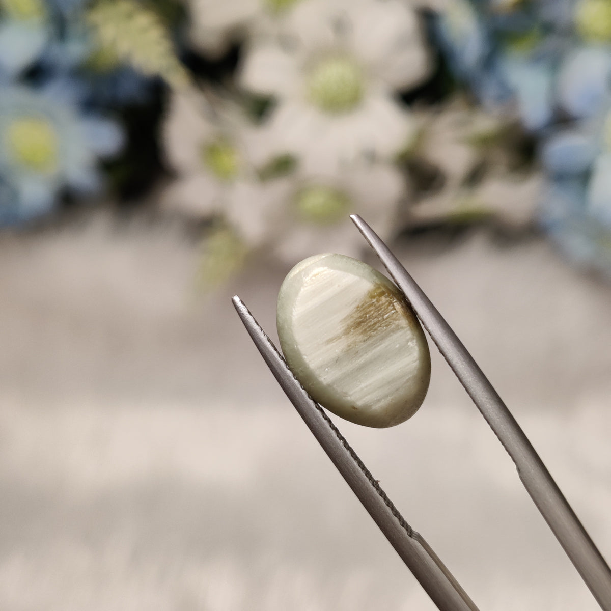 Natural Cats Eye (Lehsunia) | CE 41 | 6.97 Carat | Certified