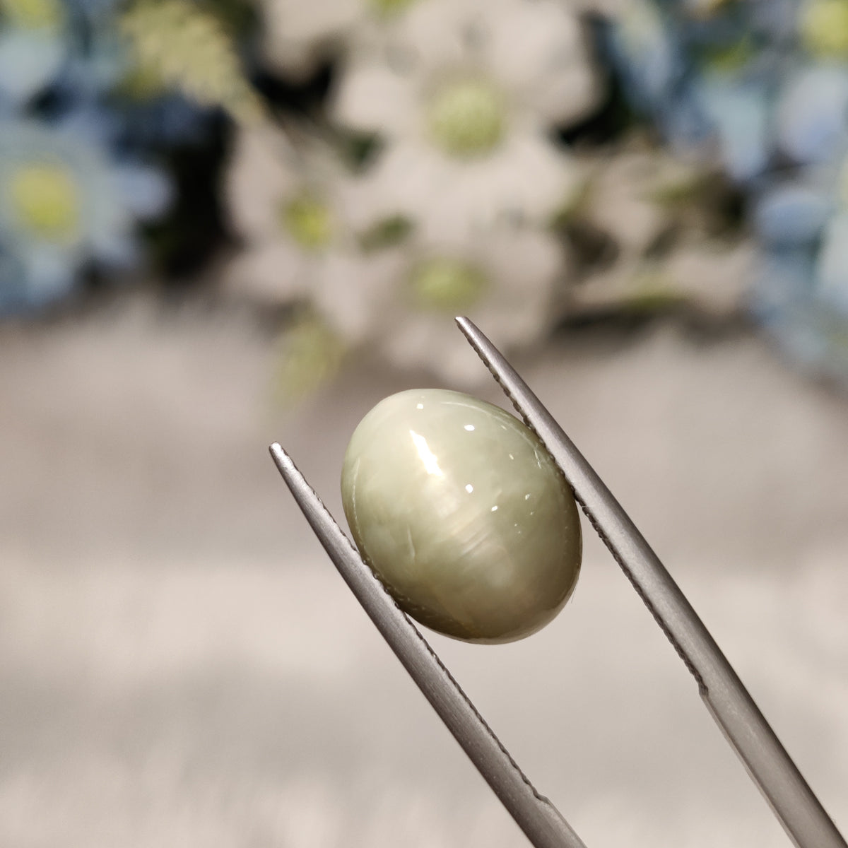 Natural Cats Eye (Lehsunia) | CE 36 | 6.27 Carat | Certified