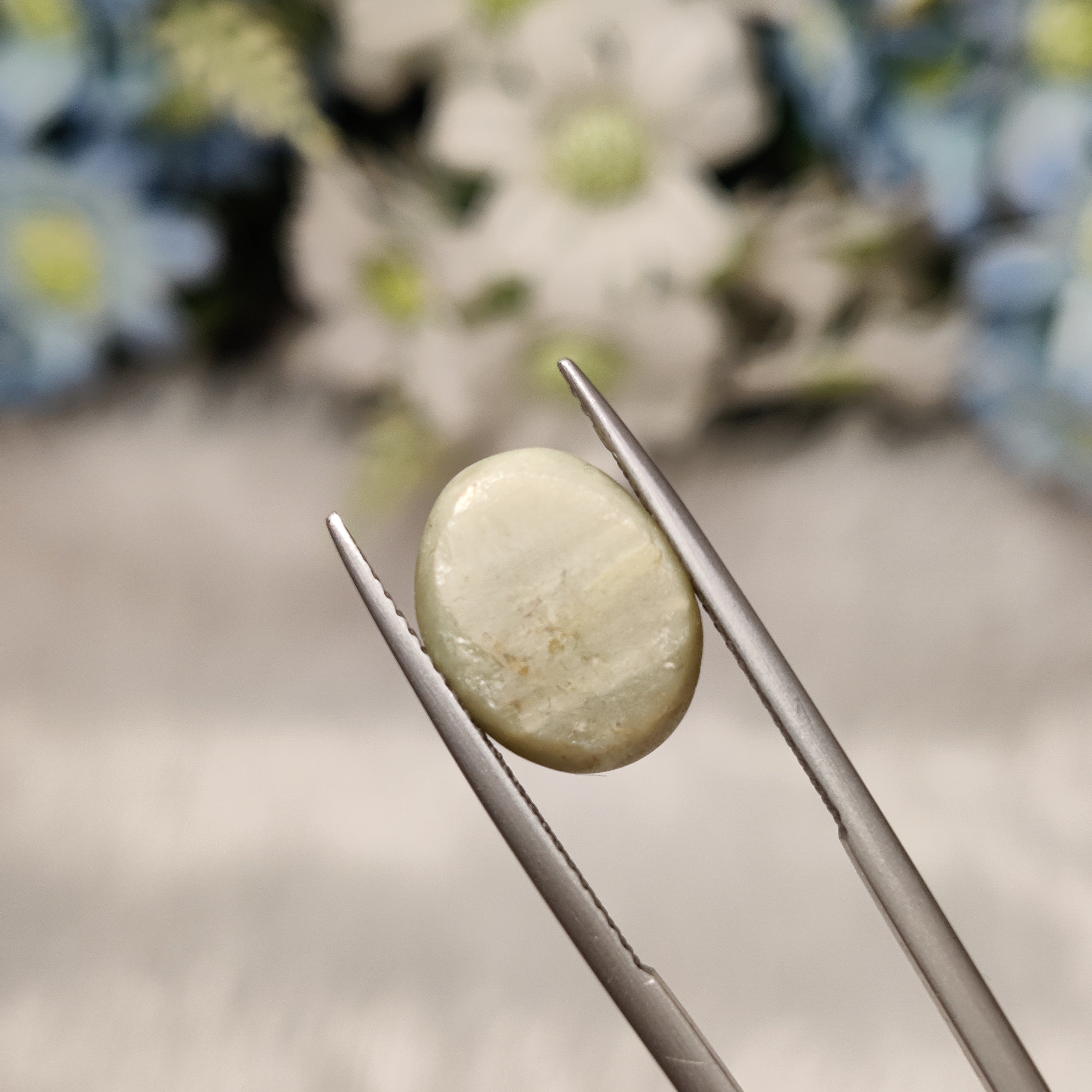 Cats Eye | CE 36 | 6.27 Carat