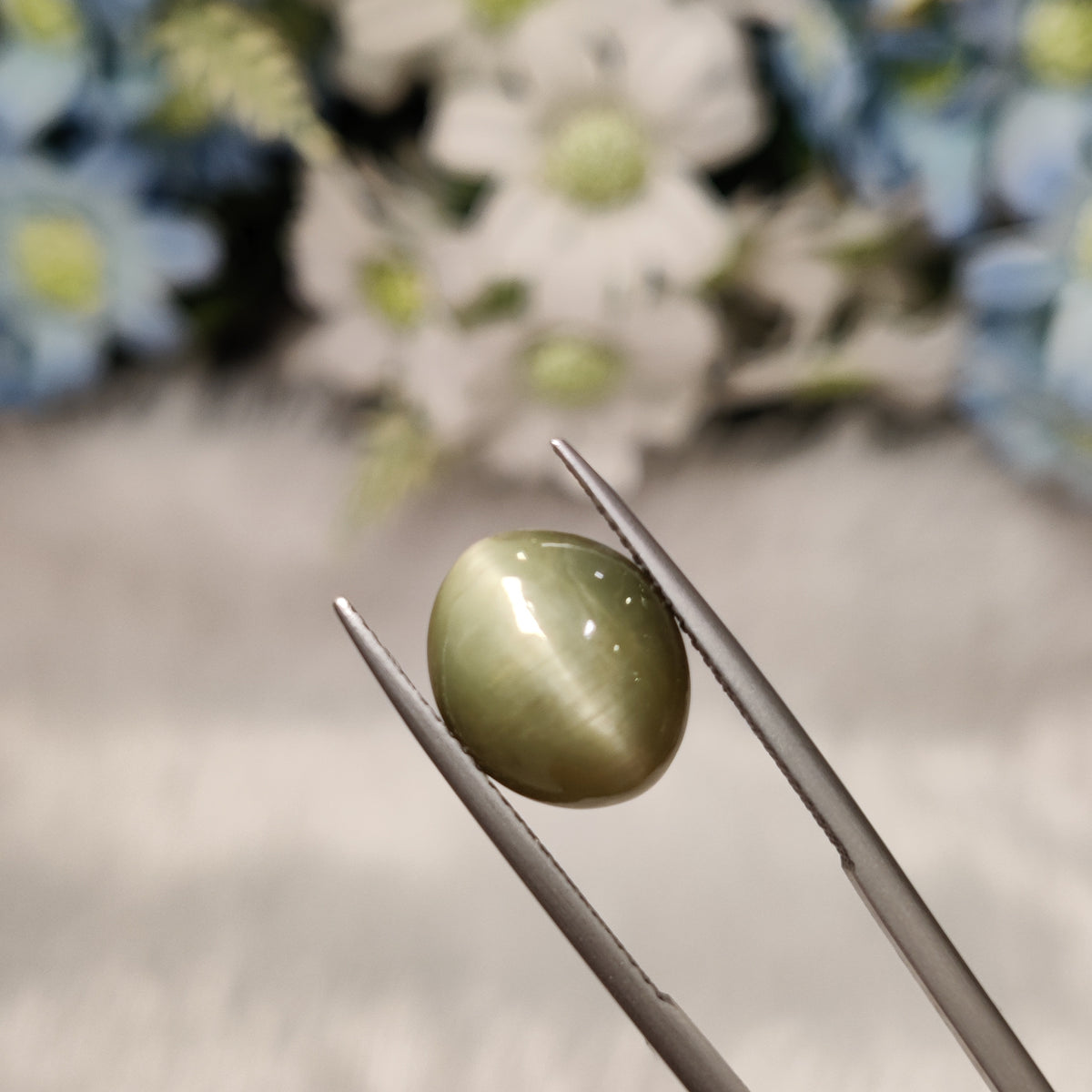 Natural Cats Eye (Lehsunia) | CE 71 | 6.76 Carat | Certified