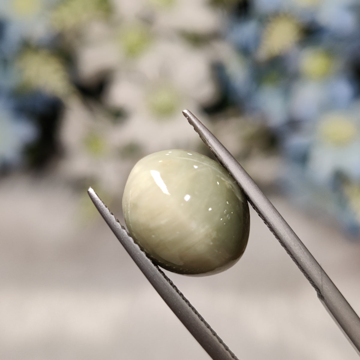 Natural Cats Eye (Lehsunia) | CE 60 | 7.51 Carat | Certified