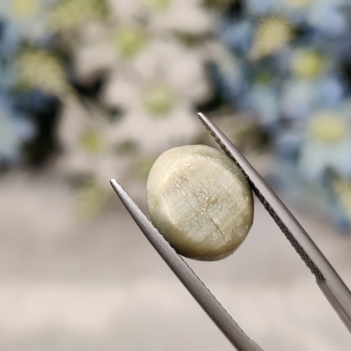 Natural Cats Eye (Lehsunia) | CE 60 | 7.51 Carat | Certified