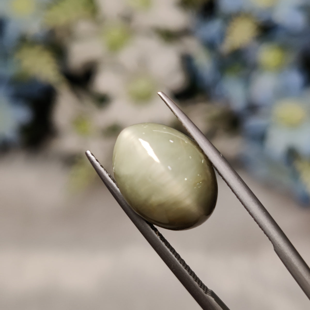 Natural Cats Eye (Lehsunia) | CE 2 | 7.57 Carat | Certified