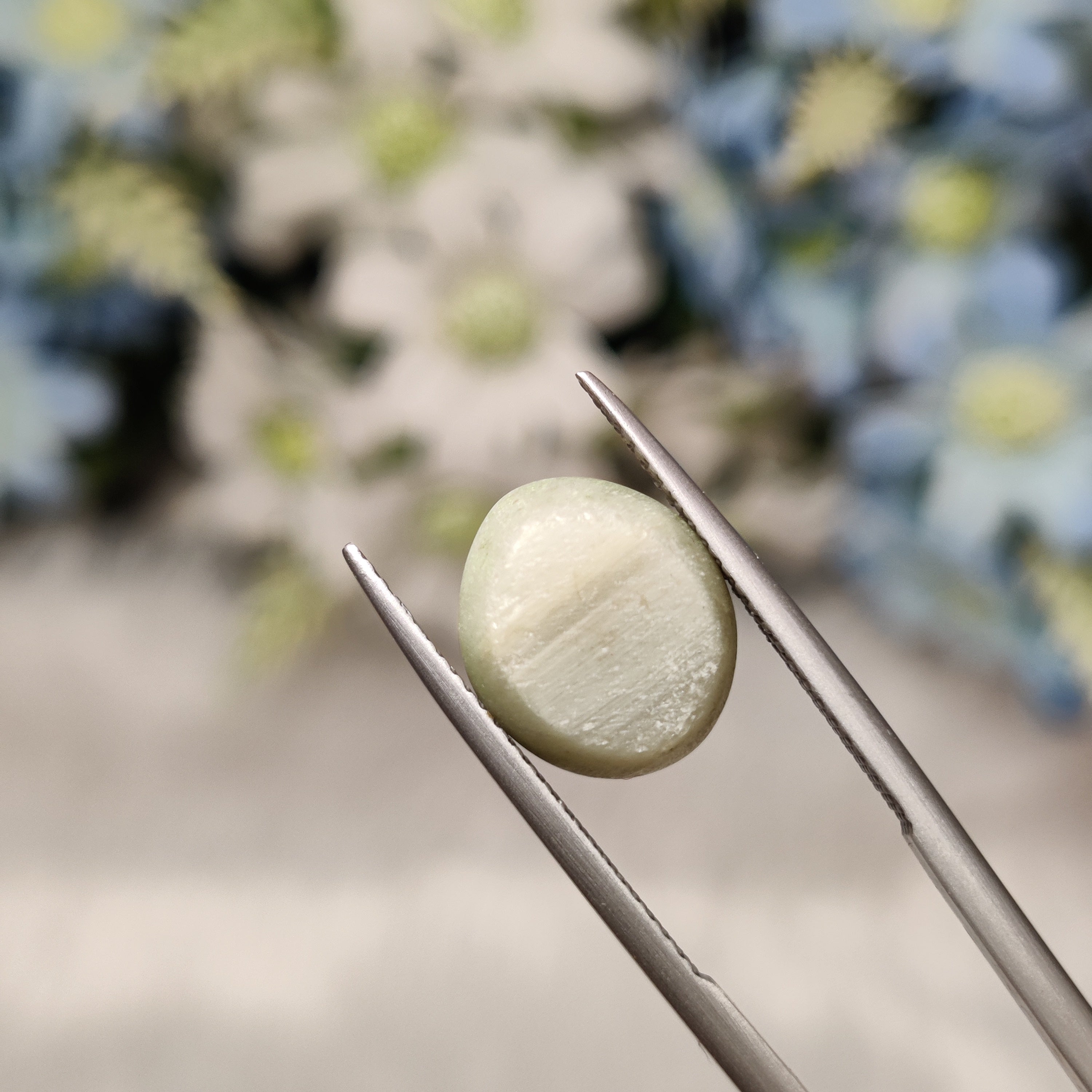 Cats Eye | CE 46 | 7.49 Carat