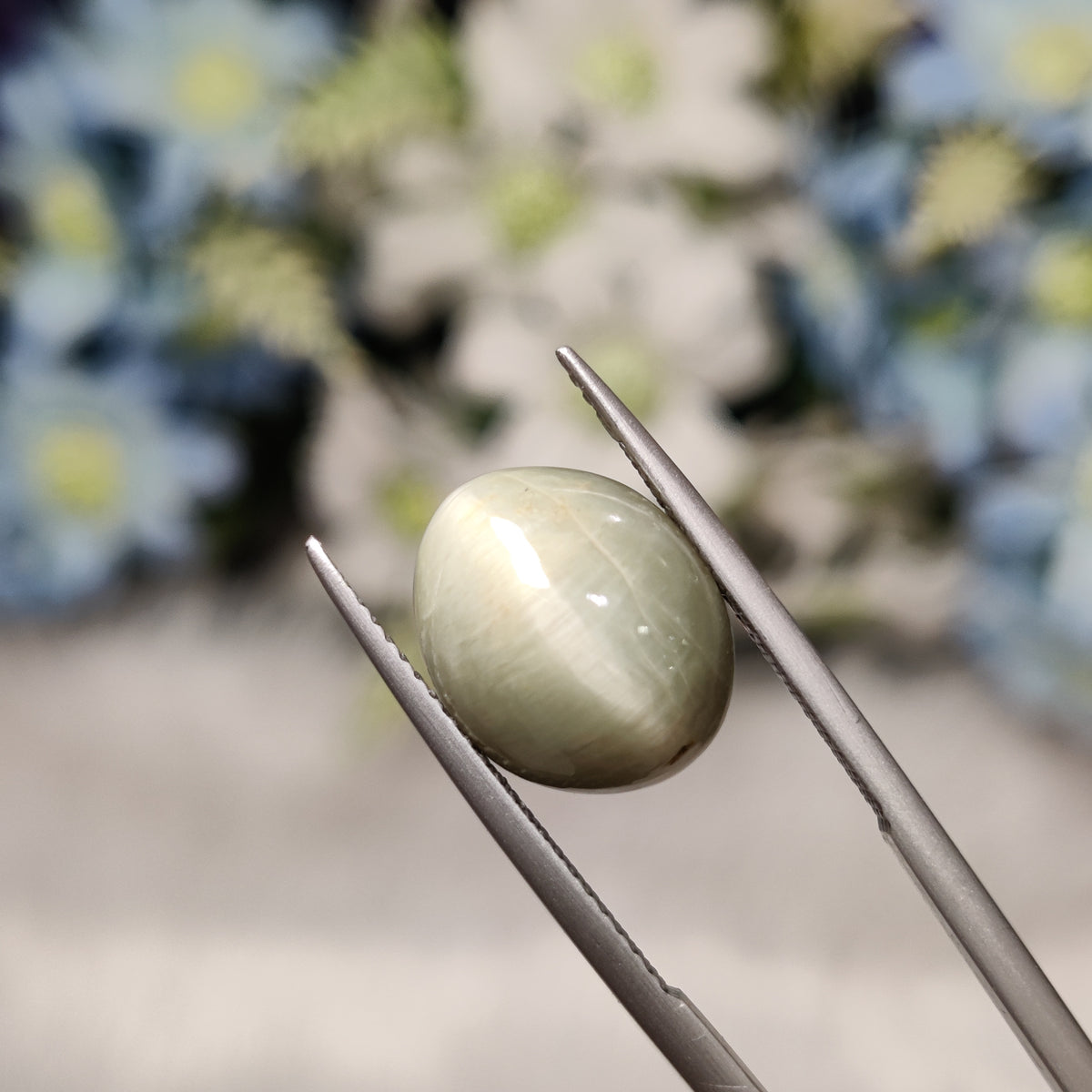 Natural Cats Eye (Lehsunia) | CE 30 | 7.61 Carat | Certified
