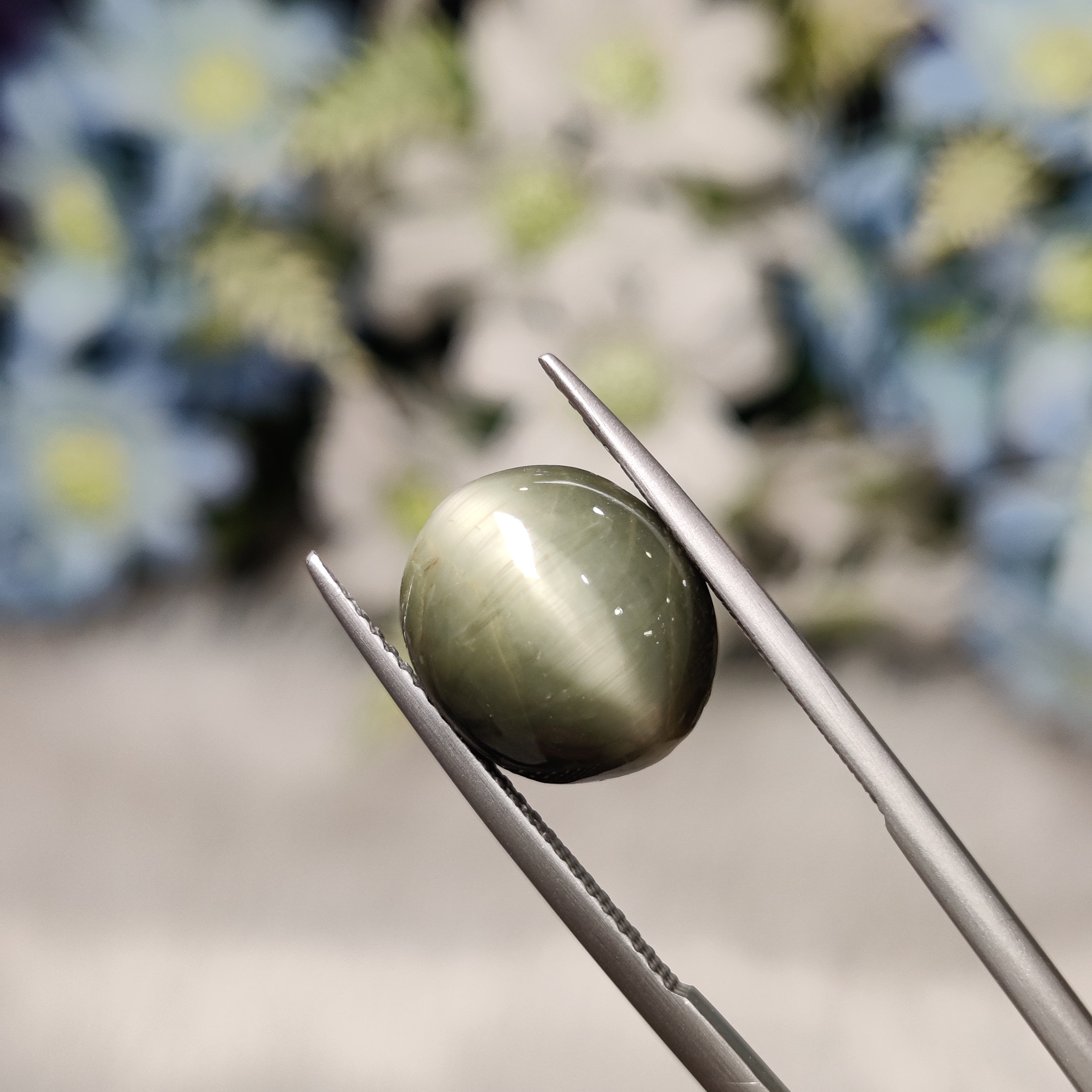 Cats Eye | CE 49 | 7.52 Carat