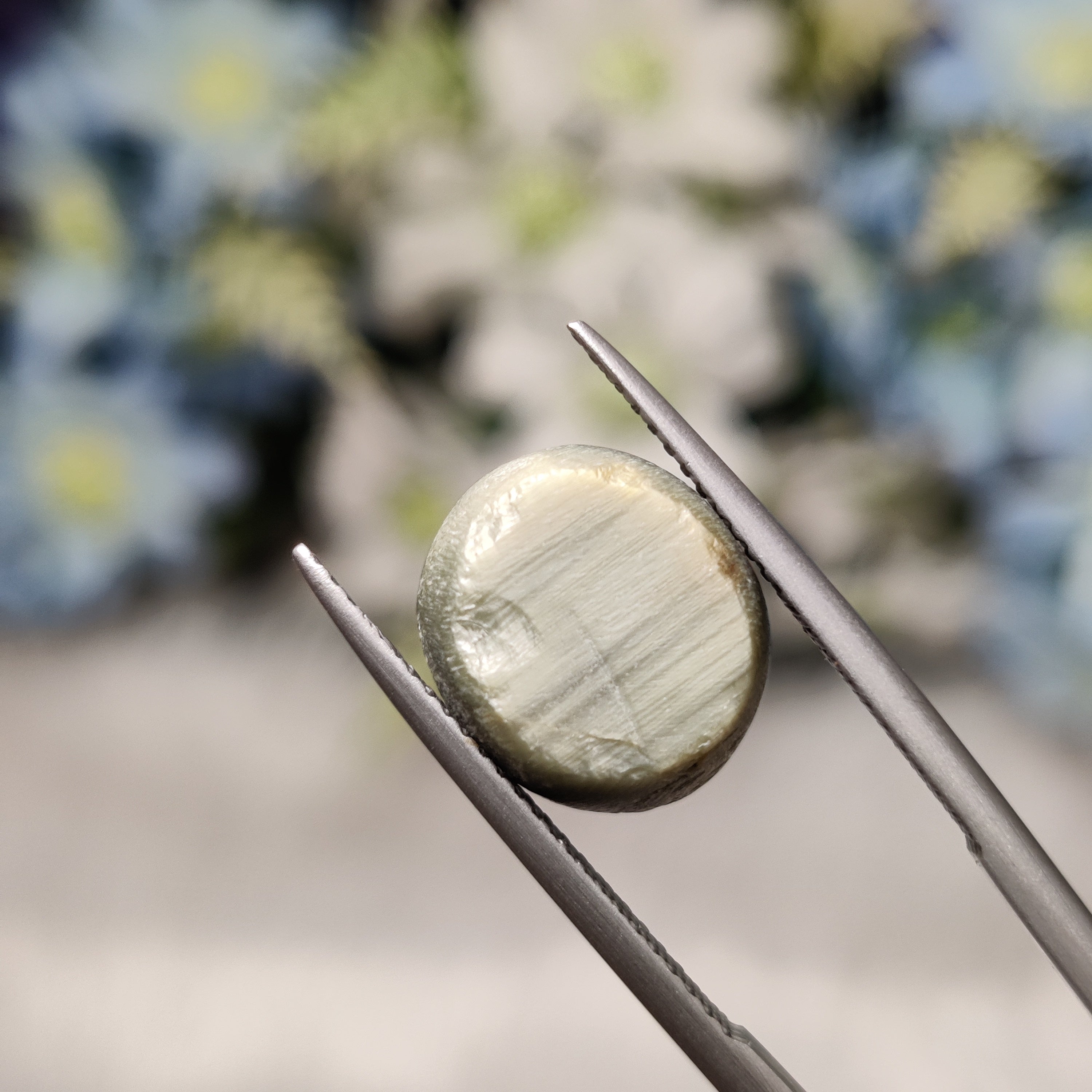 Cats Eye | CE 49 | 7.52 Carat