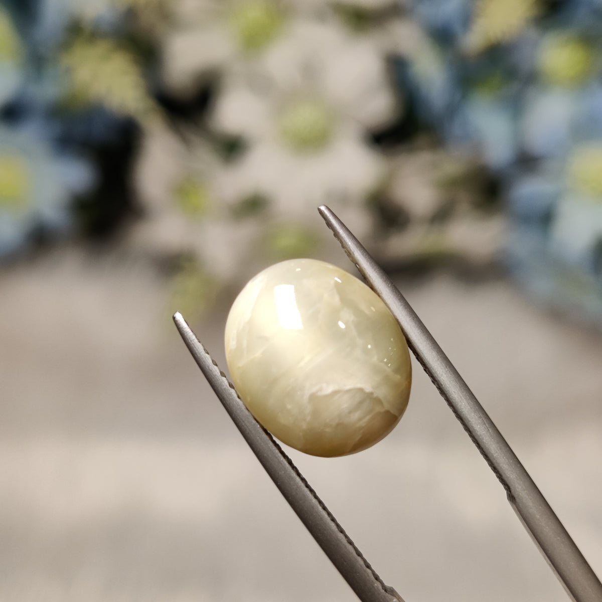 Natural Cats Eye (Lehsunia) | CE 96 | 7.71 Carat | Certified