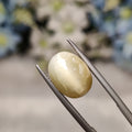 Cats Eye | CE 92 | 7.08 Carat