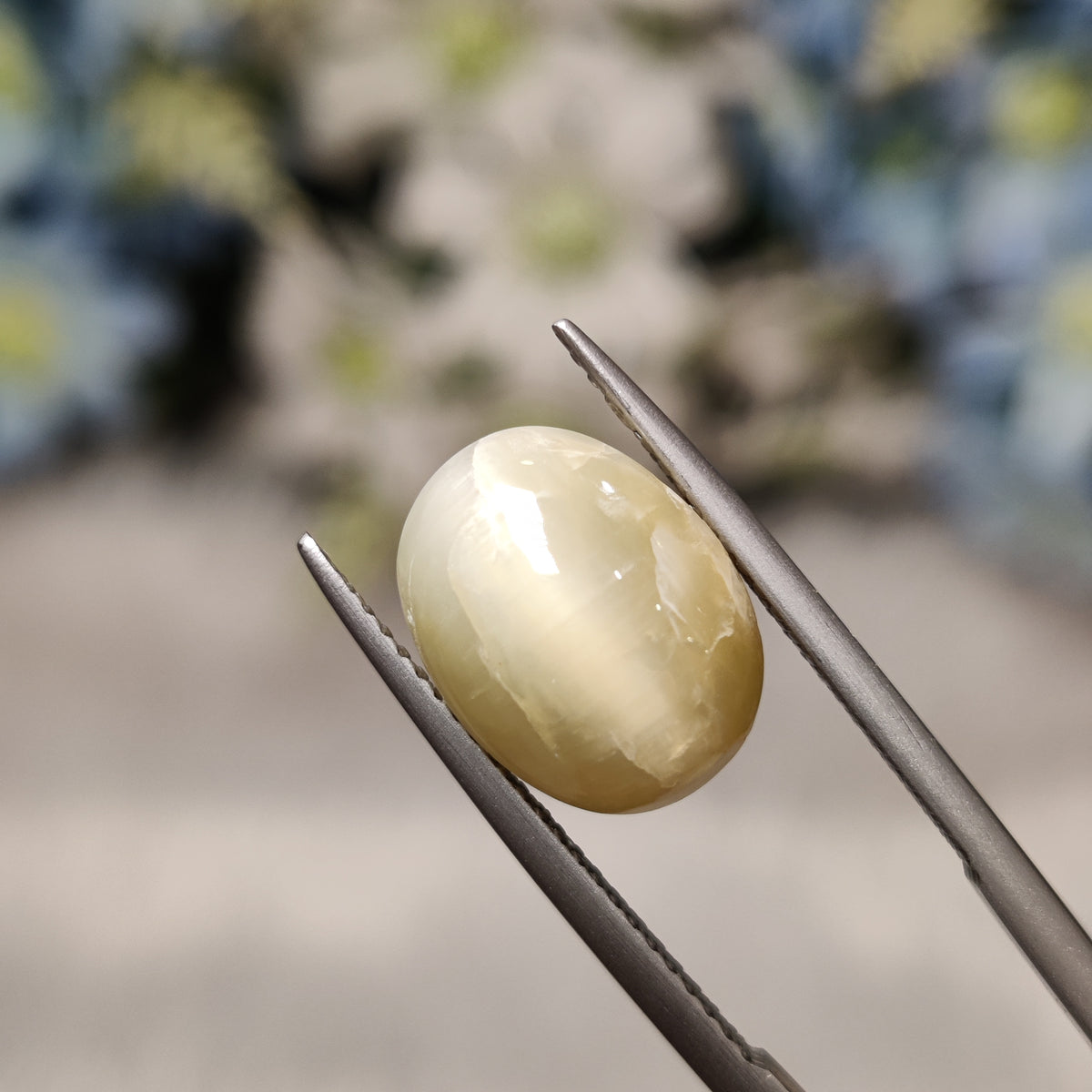 Natural Cats Eye (Lehsunia) | CE 92 | 7.08 Carat | Certified