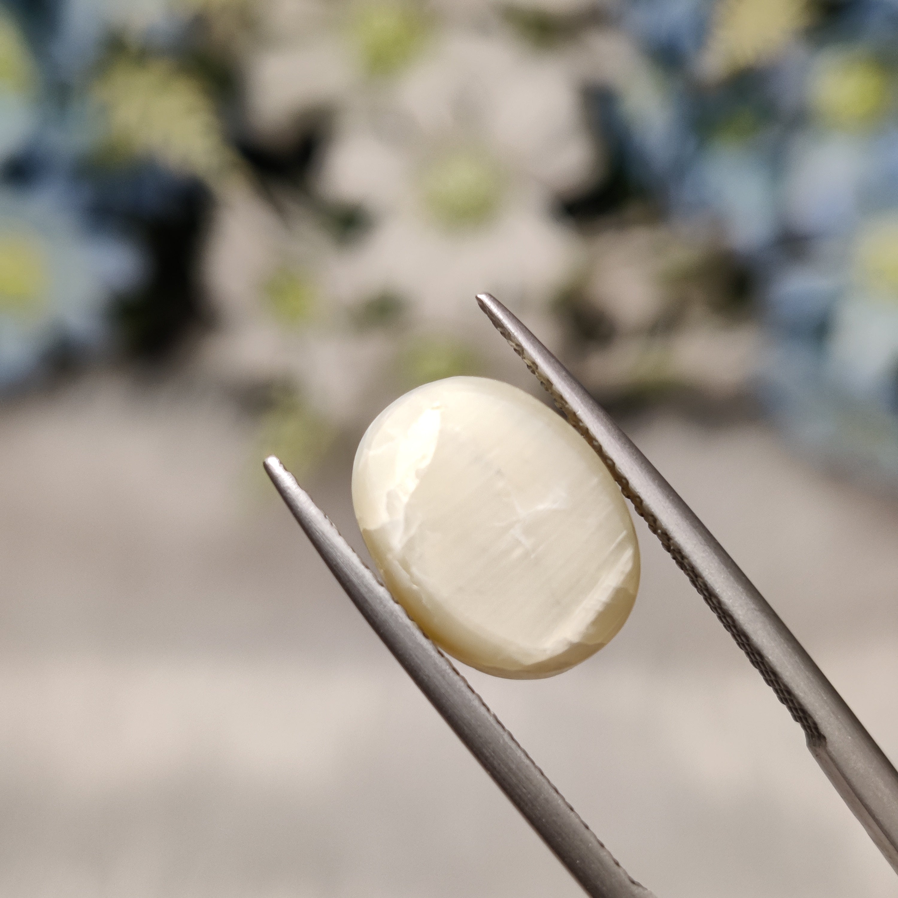 Cats Eye | CE 92 | 7.08 Carat