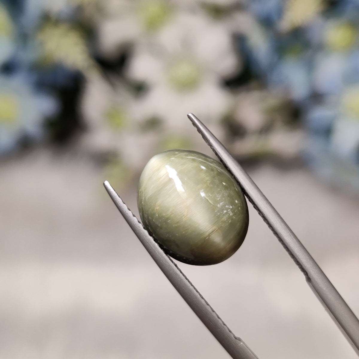 Natural Cats Eye (Lehsunia) | CE 94 | 7.51 Carat | Certified