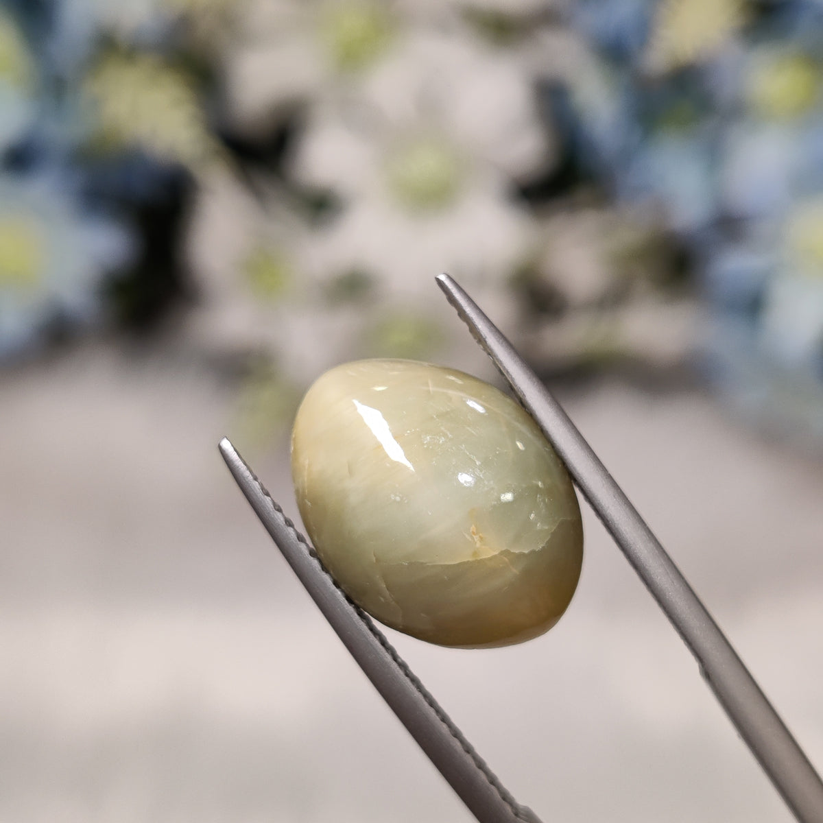 Natural Cats Eye (Lehsunia) | CE 72 | 7.65 Carat | Certified