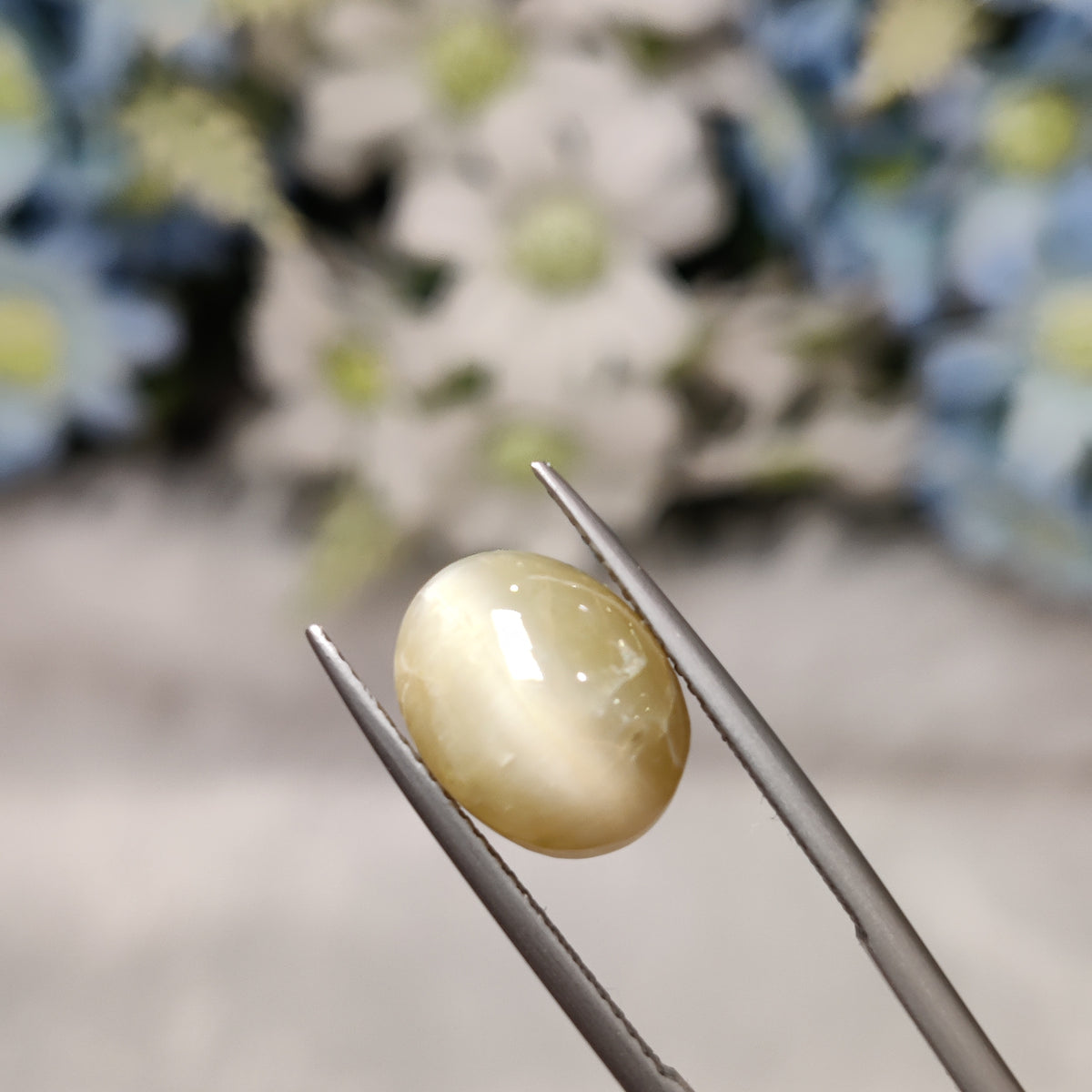 Natural Cats Eye (Lehsunia) | CE 74 | 7.49 Carat | Certified