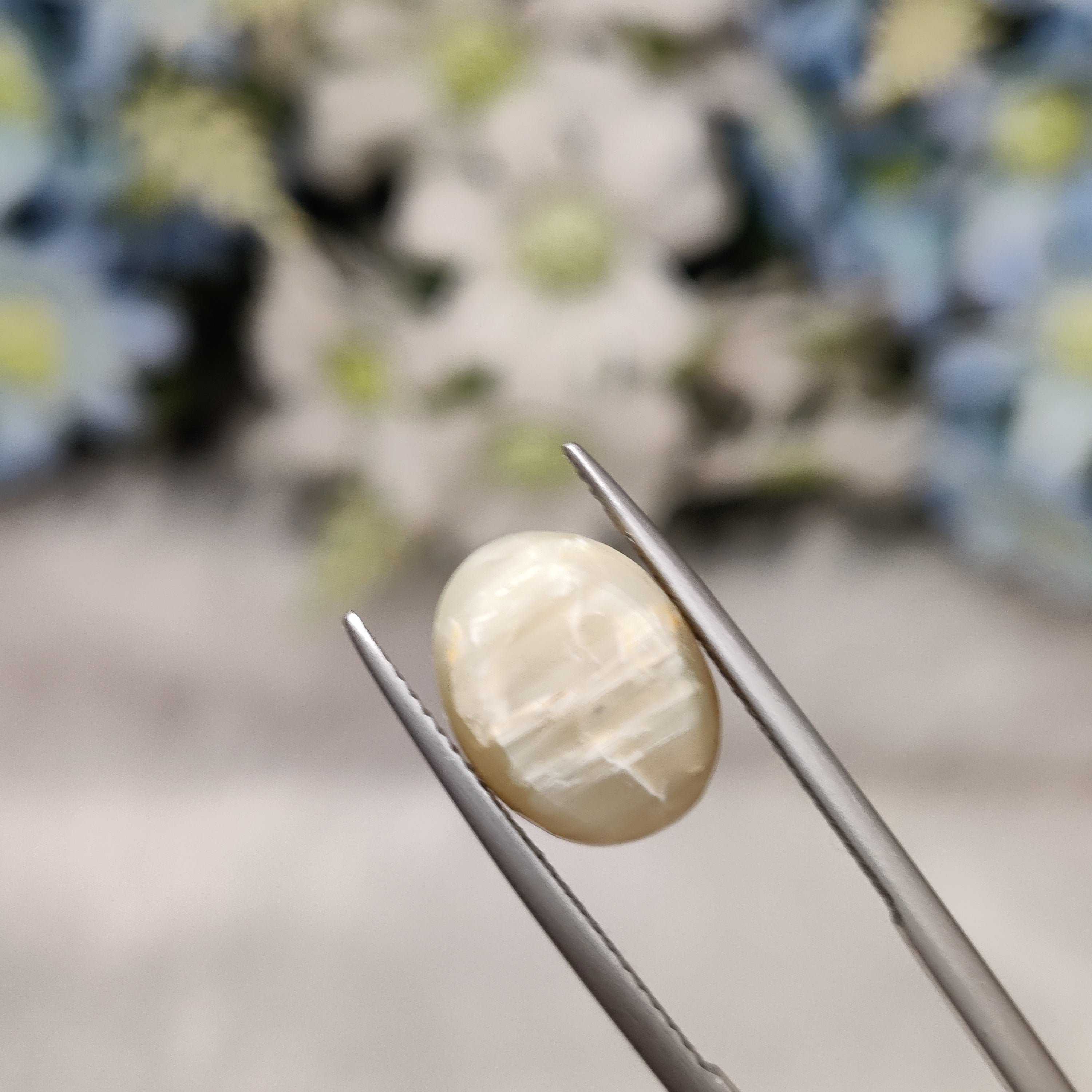 Cats Eye | CE 74 | 7.49 Carat