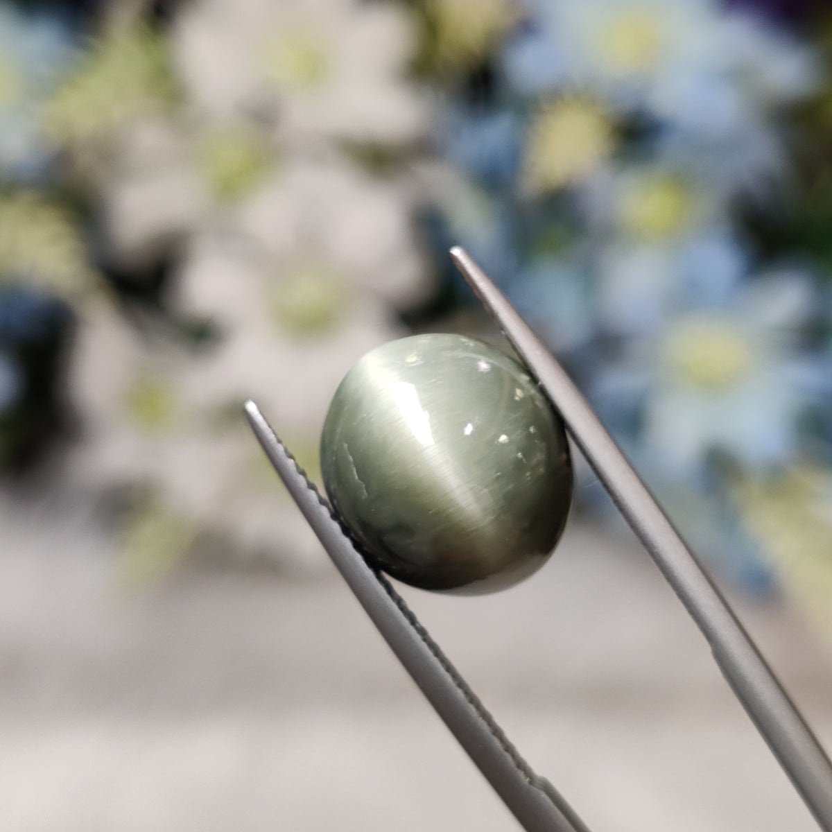 Natural Cats Eye (Lehsunia) | CE 59 | 7.84 Carat | Certified