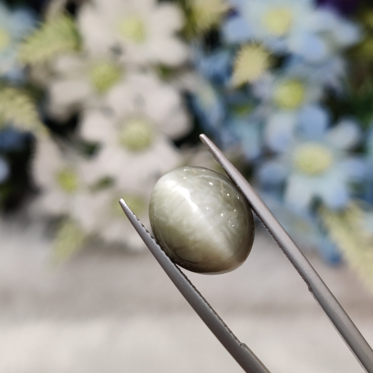 Natural Cats Eye (Lehsunia) | CE 87 | 7.77 Carat | Certified