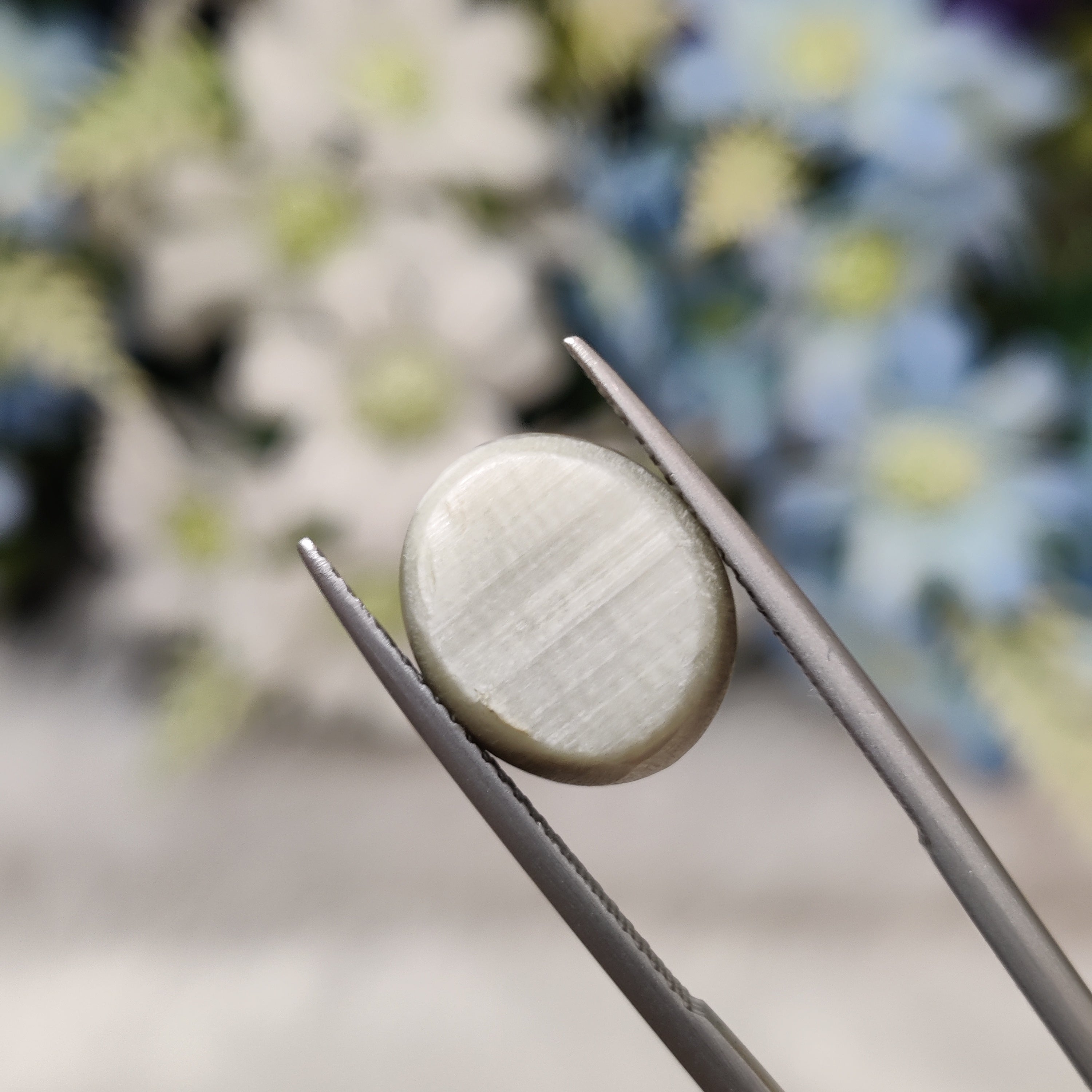 Cats Eye | CE 87 | 7.77 Carat