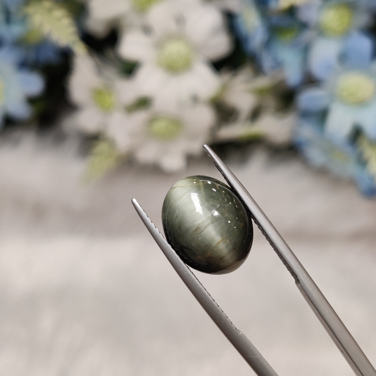 Natural Cats Eye (Lehsunia) | CE 62 | 7.74 Carat | Certified