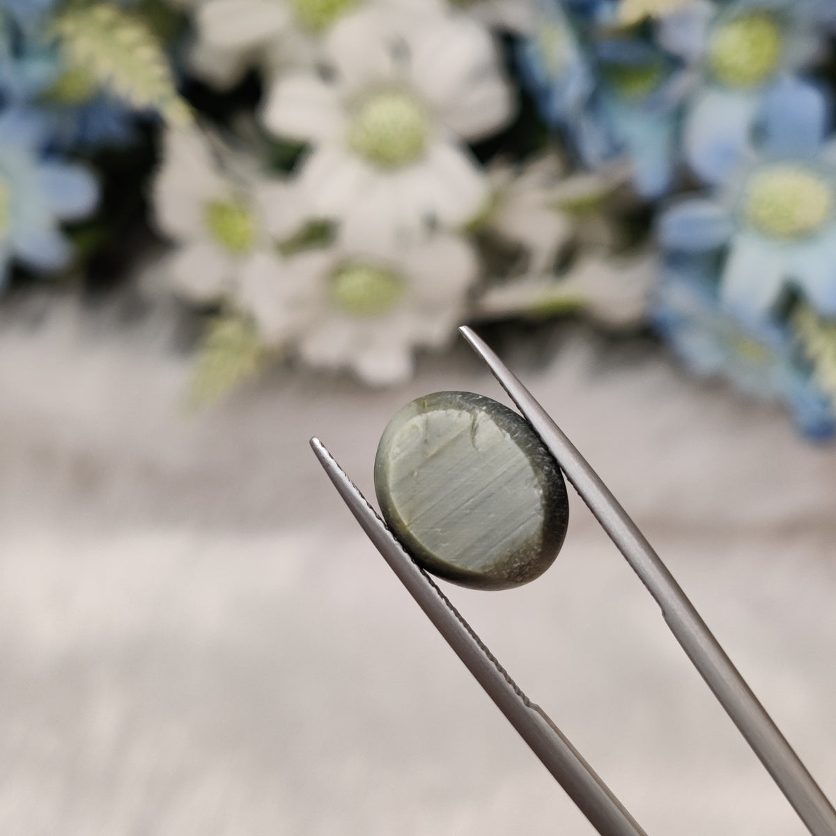 Natural Cats Eye (Lehsunia) | CE 62 | 7.74 Carat | Certified
