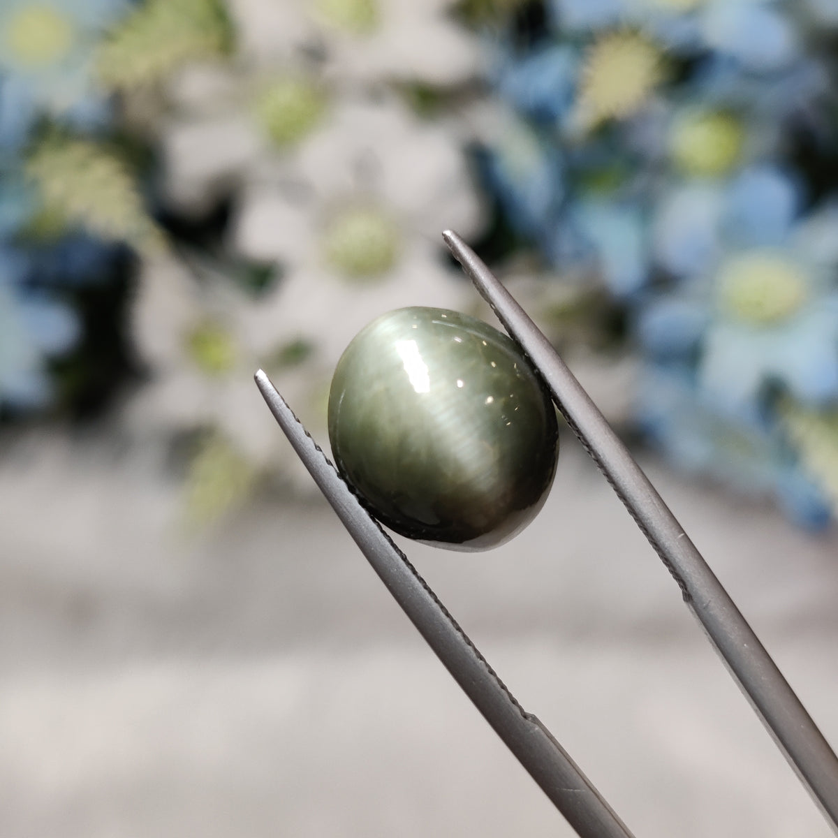 Natural Cats Eye (Lehsunia) | CE 61 | 7.25 Carat | Certified