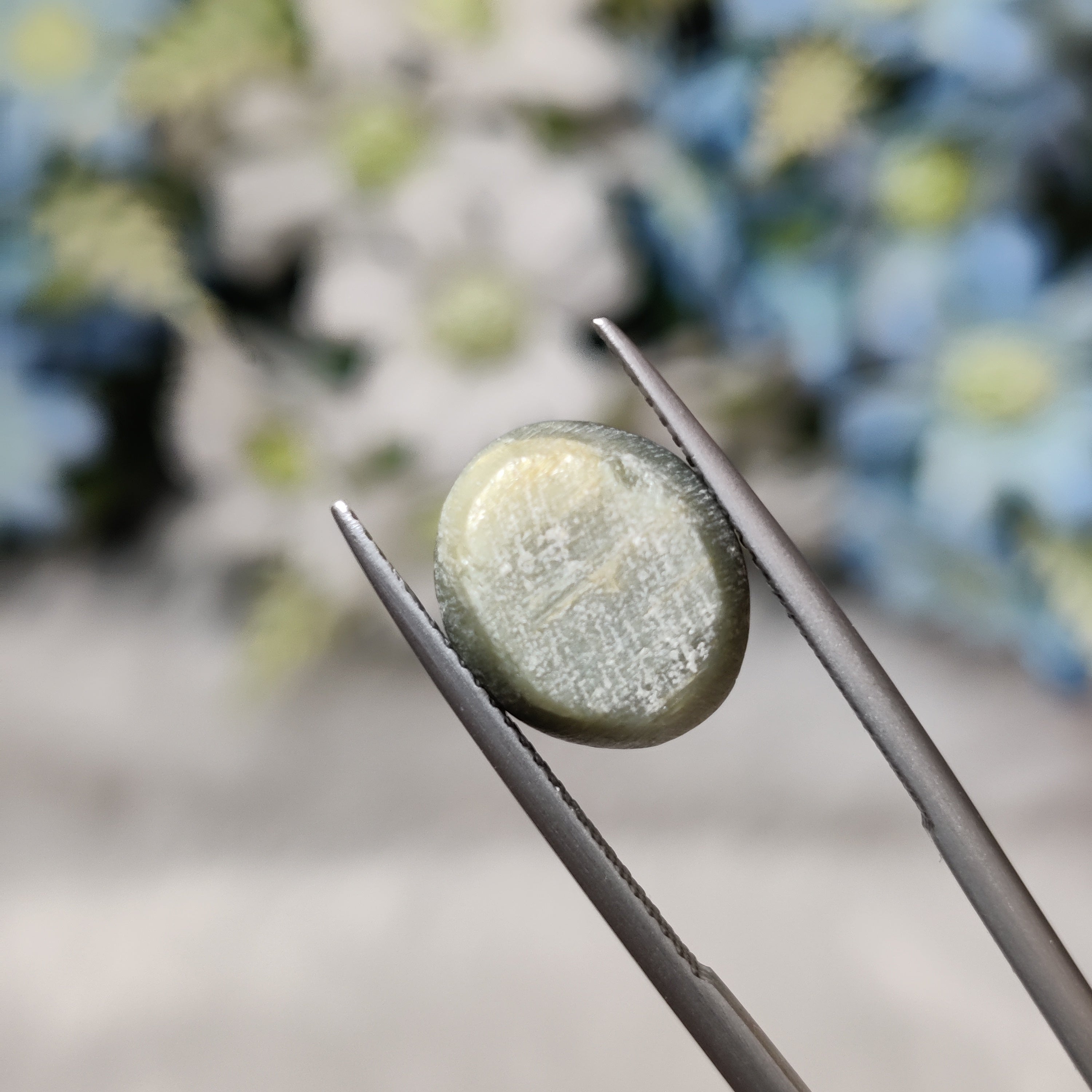 Cats Eye | CE 61 | 7.25 Carat