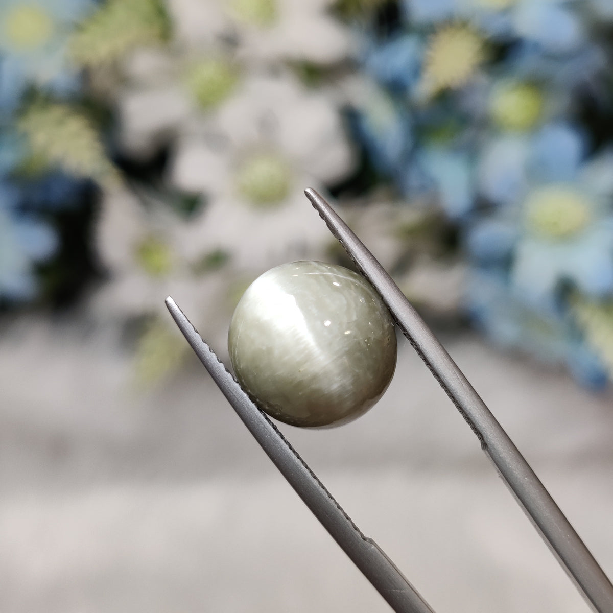 Natural Cats Eye (Lehsunia) | CE 101 | 7.66 Carat | Certified