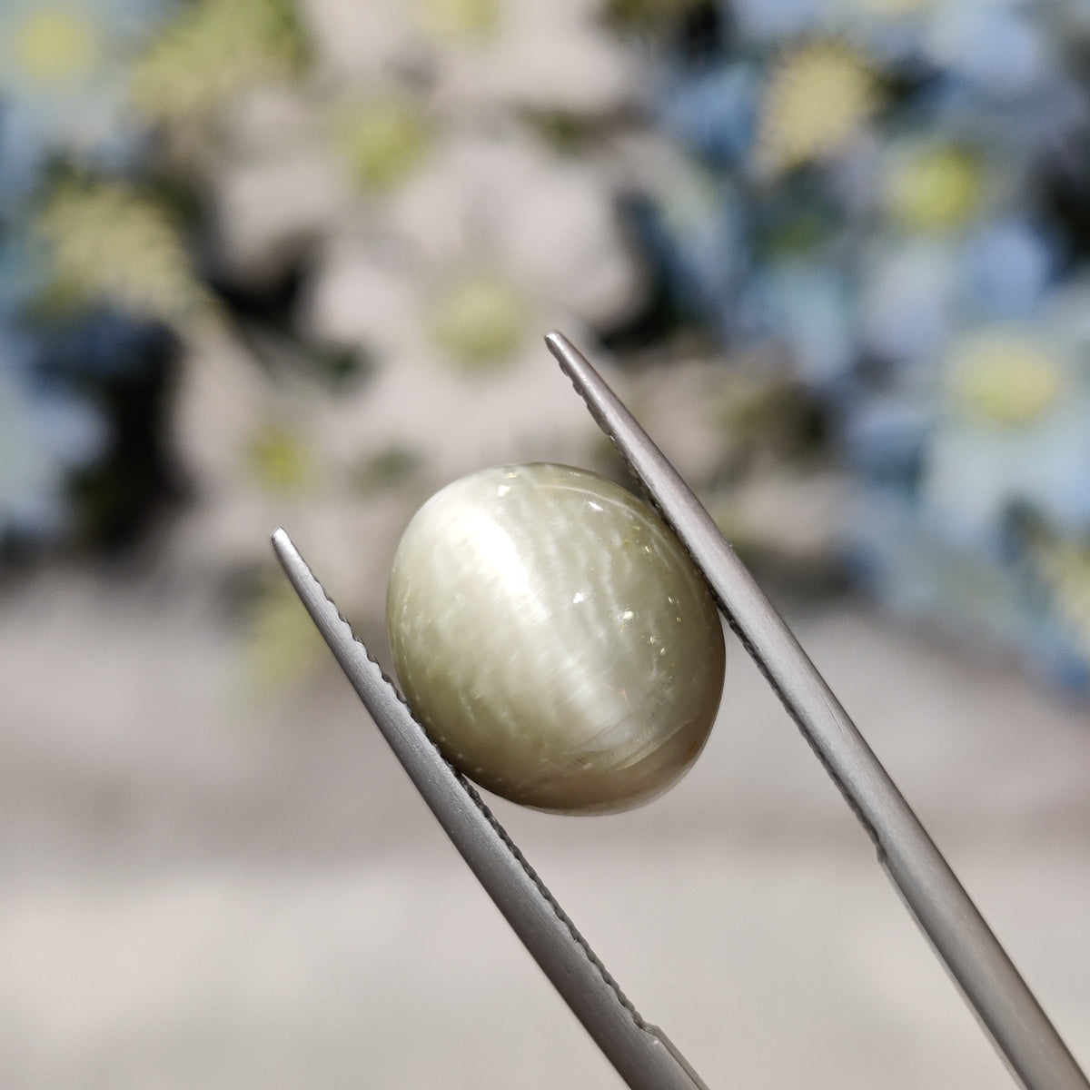 Natural Cats Eye (Lehsunia) | CE 97 | 7.69 Carat | Certified