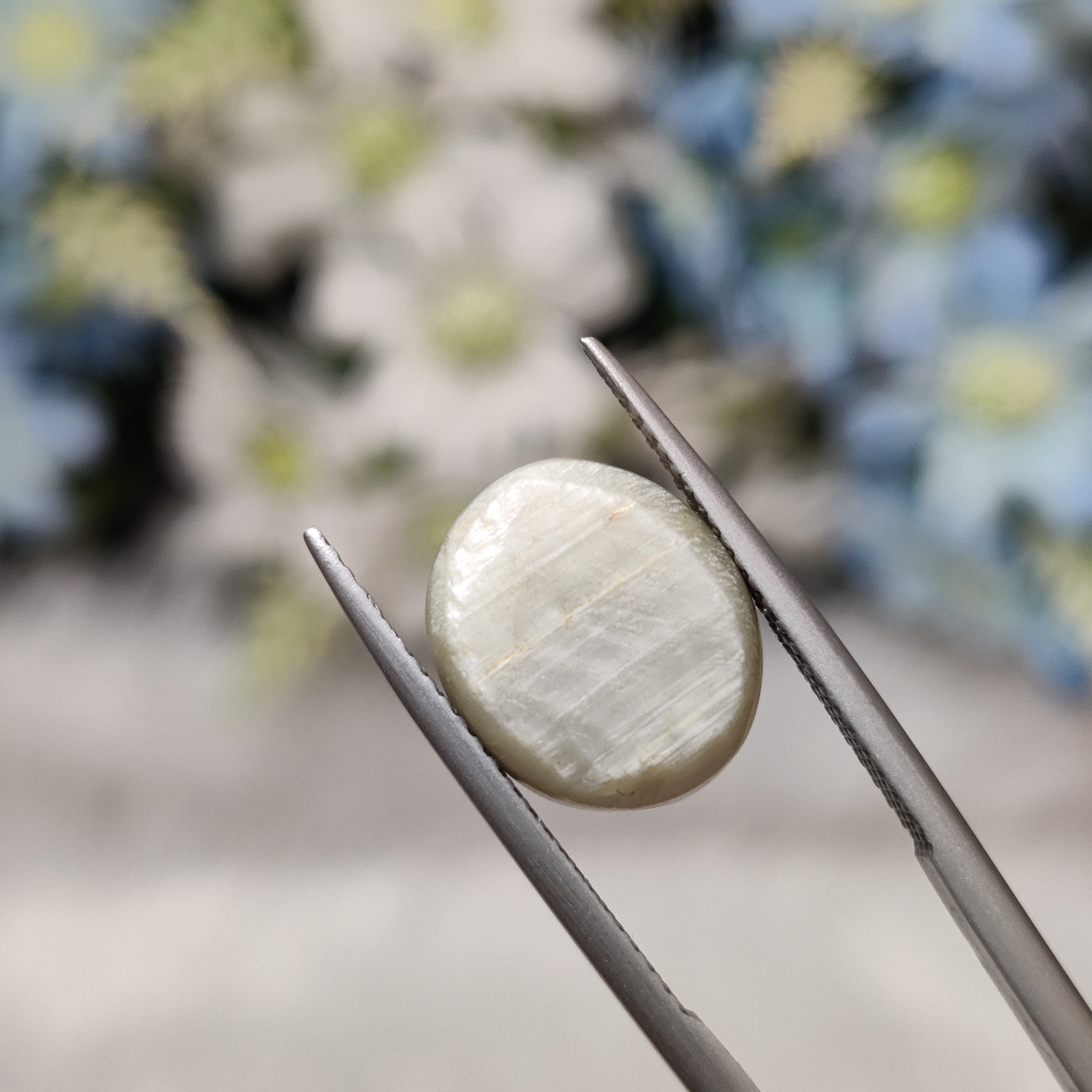 Cats Eye | CE 97 | 7.69 Carat