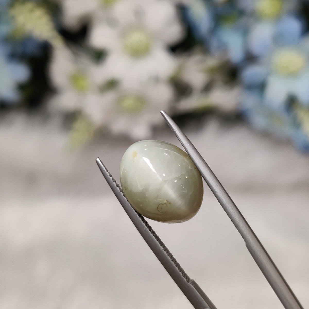 Natural Cats Eye (Lehsunia) | CE 35 | 7.42 Carat | Certified