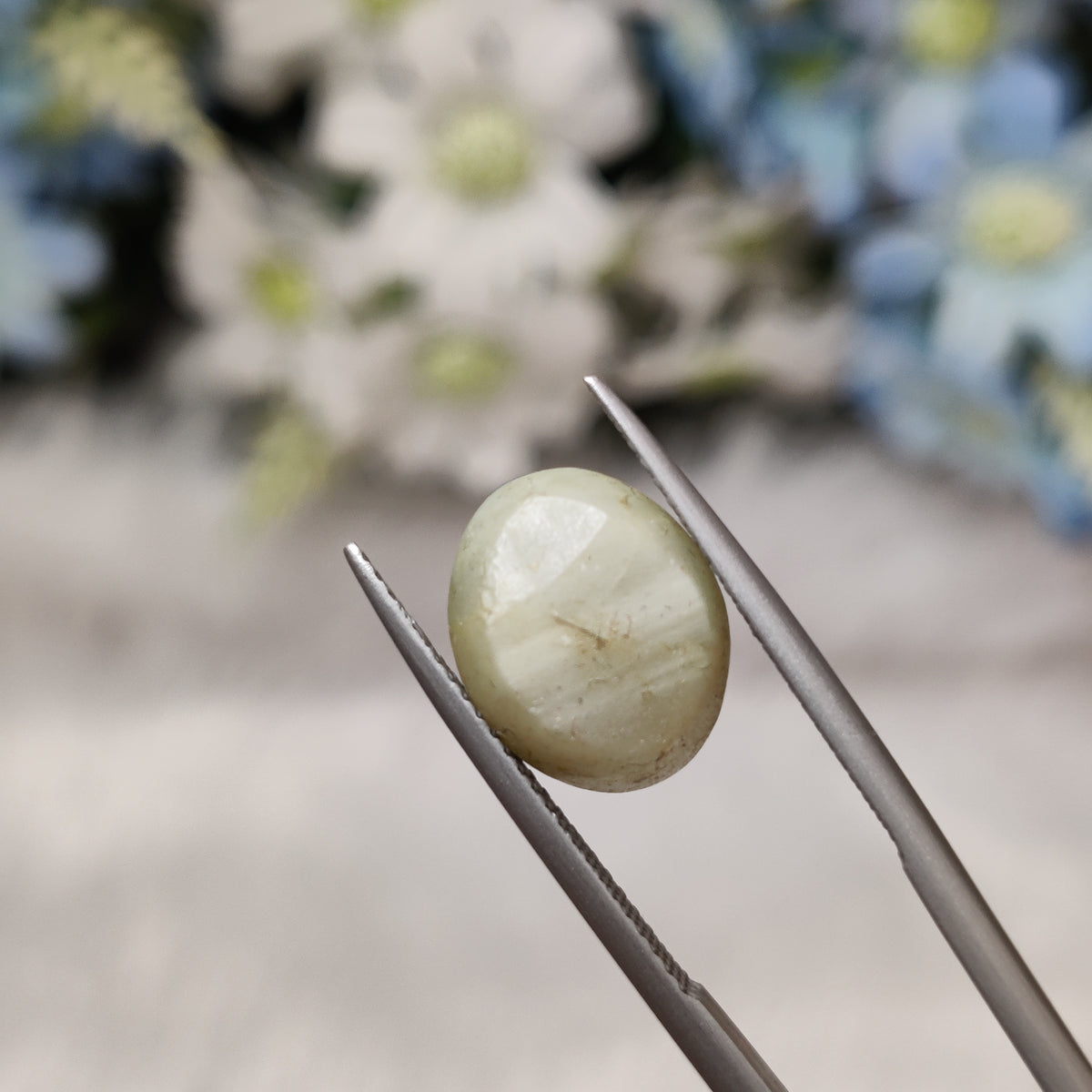 Natural Cats Eye (Lehsunia) | CE 35 | 7.42 Carat | Certified