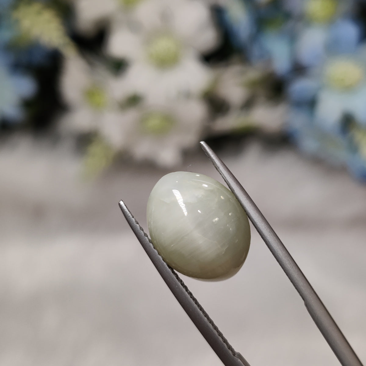 Natural Cats Eye (Lehsunia) | CE 14 | 7.19 Carat | Certified