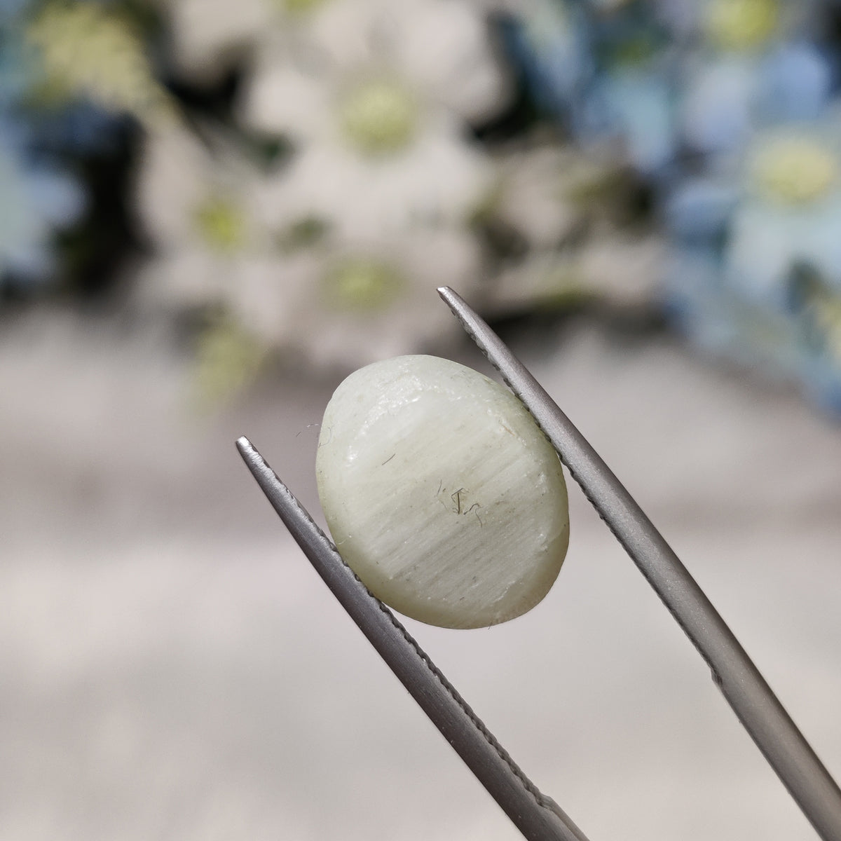 Natural Cats Eye (Lehsunia) | CE 14 | 7.19 Carat | Certified