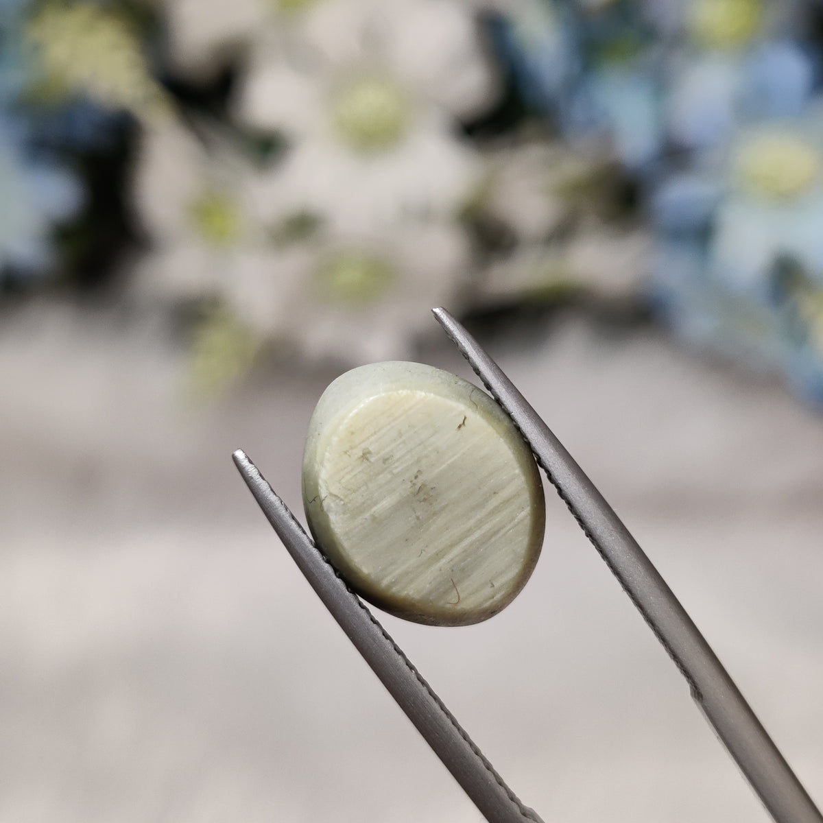 Natural Cats Eye (Lehsunia) | CE 53 | 7.79 Carat | Certified