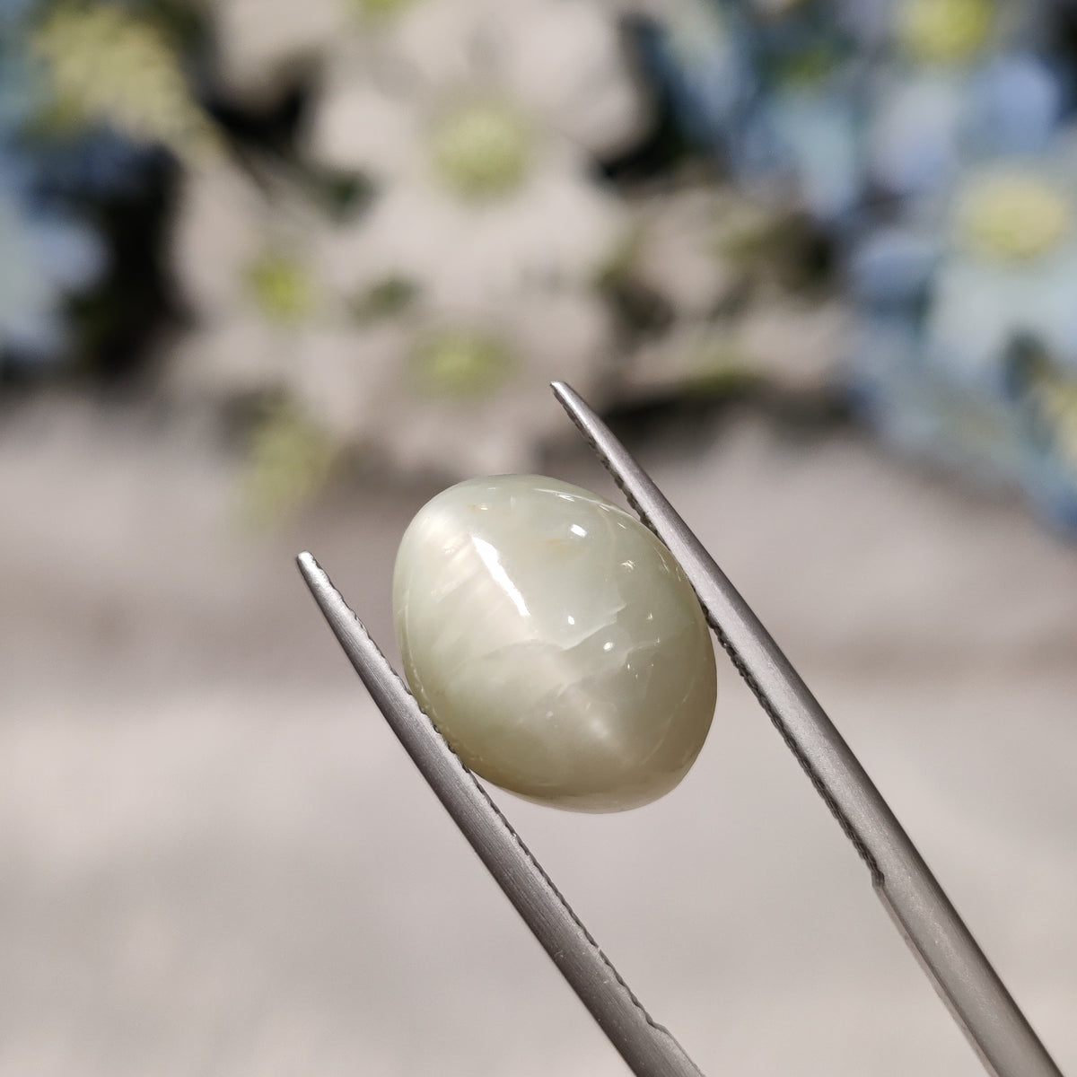 Natural Cats Eye (Lehsunia) | CE 25 | 7.68 Carat | Certified