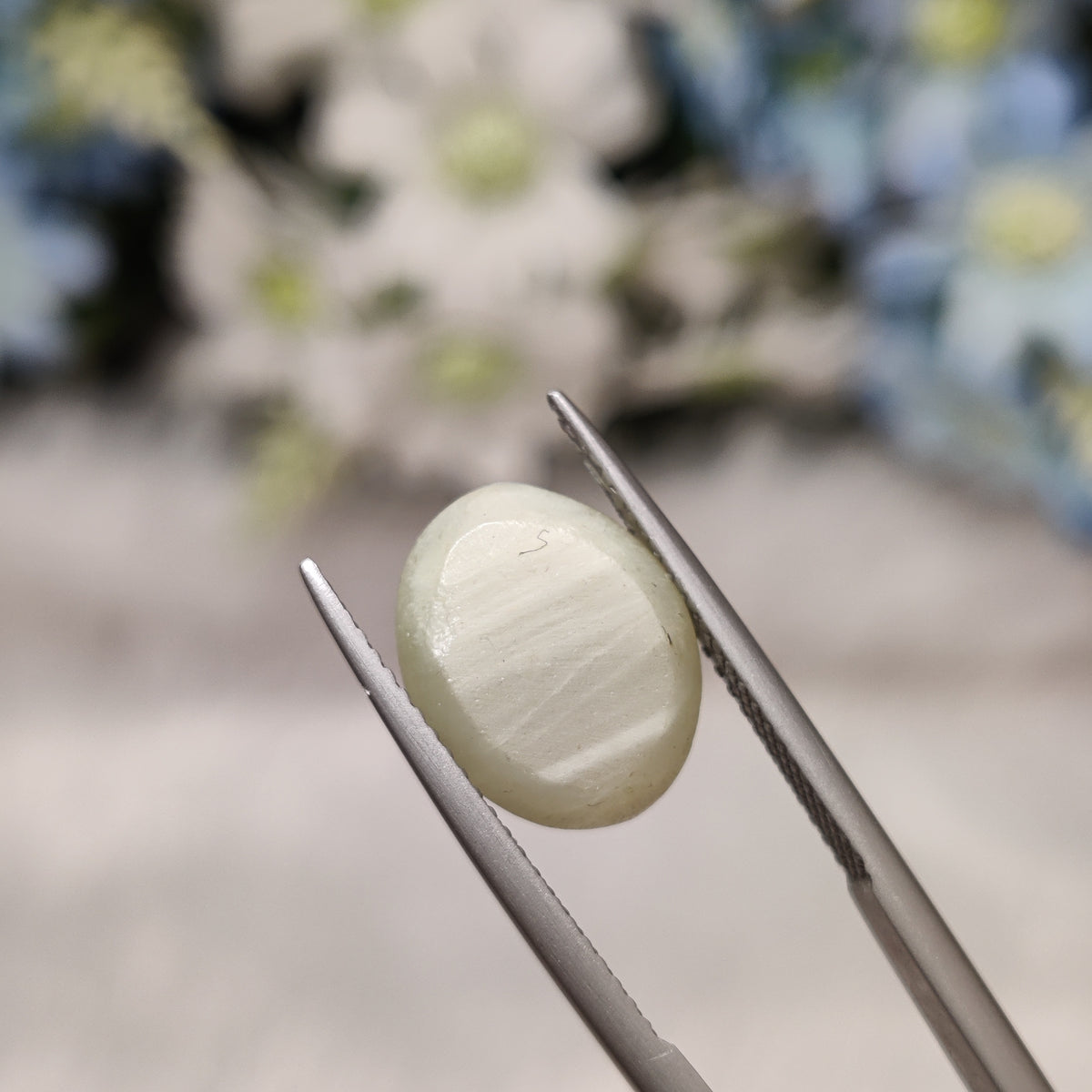 Natural Cats Eye (Lehsunia) | CE 25 | 7.68 Carat | Certified