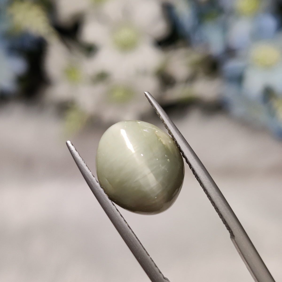 Natural Cats Eye (Lehsunia) | CE 3 | 7.24 Carat | Certified