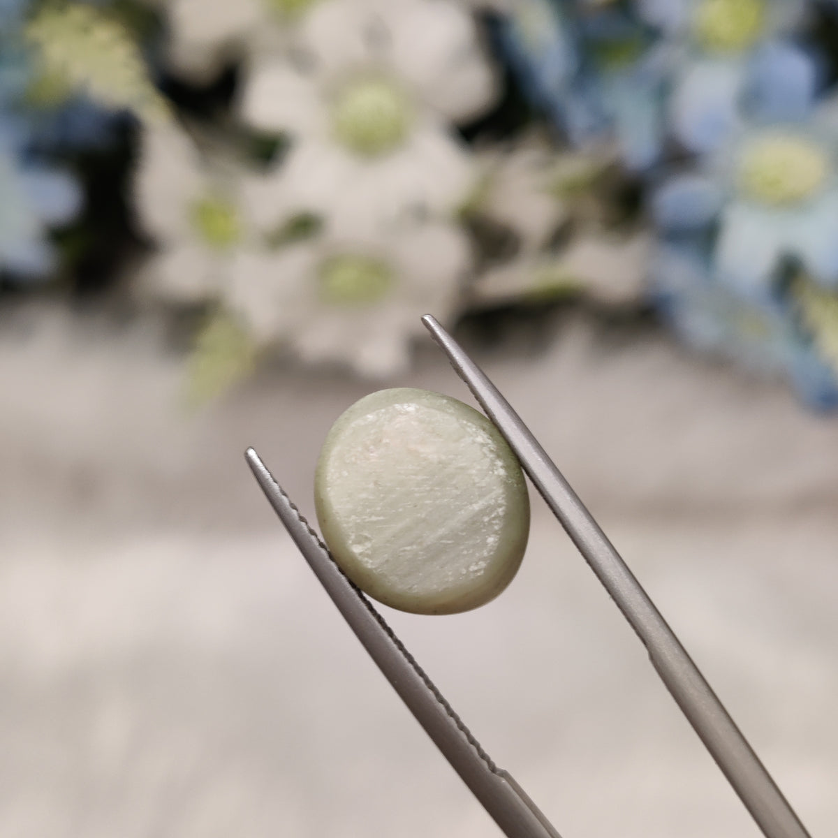 Natural Cats Eye (Lehsunia) | CE 3 | 7.24 Carat | Certified