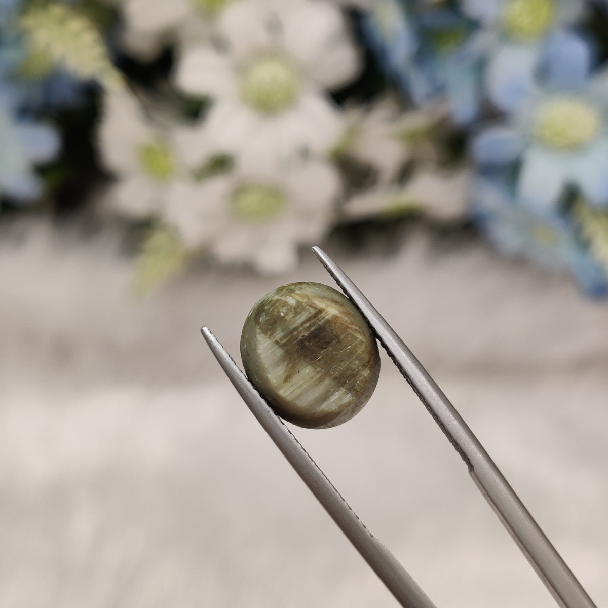 Natural Cats Eye (Lehsunia) | CE 33 | 7.08 Carat | Certified