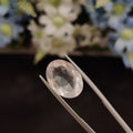 Rose Quartz | RQ 19 | 6.09 Carat