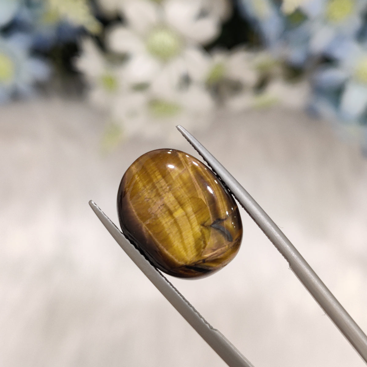 Natural Tiger Eye | TE 10 | 9.87 Carat | Certified